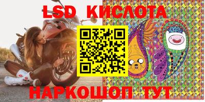 шишки Краснодар