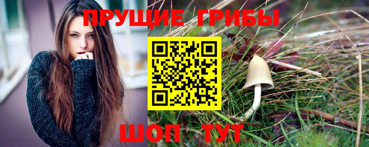 Котлас  Псилоцибиновые грибы ЛСД  Галлюциногенные грибы Psilocybine cubensis  Вход с VPN 